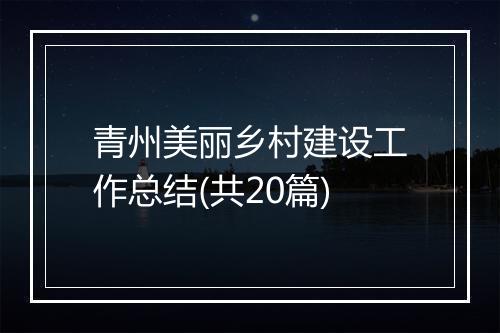 青州美丽乡村建设工作总结(共20篇)