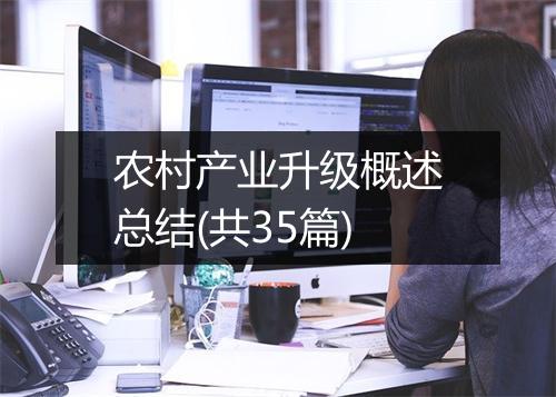 农村产业升级概述总结(共35篇)