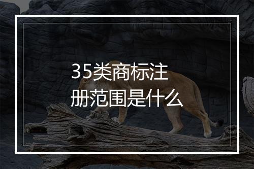 35类商标注册范围是什么