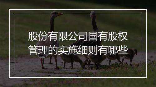 股份有限公司国有股权管理的实施细则有哪些