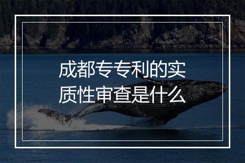 成都专专利的实质性审查是什么