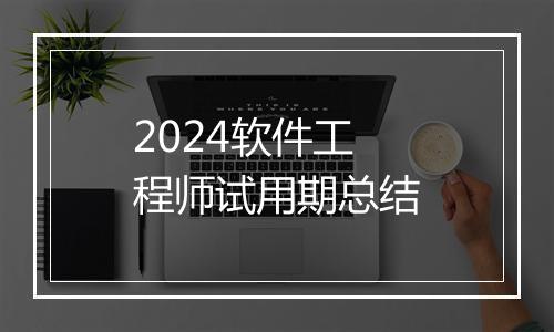 2024软件工程师试用期总结