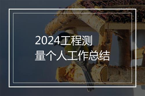 2024工程测量个人工作总结