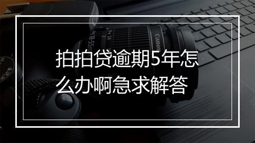 拍拍贷逾期5年怎么办啊急求解答