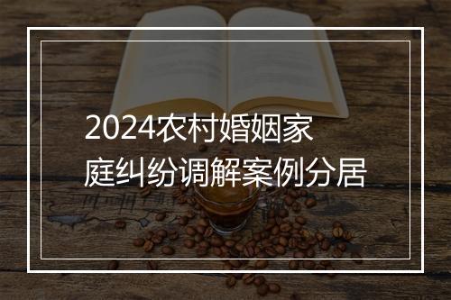 2024农村婚姻家庭纠纷调解案例分居