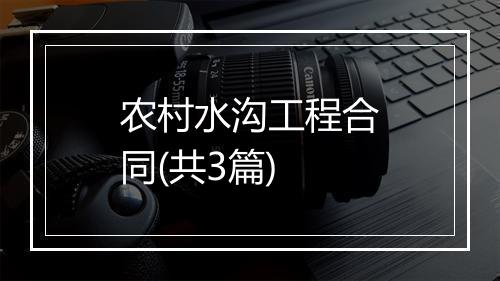 农村水沟工程合同(共3篇)