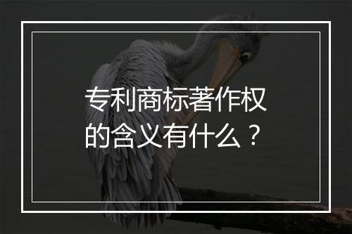 专利商标著作权的含义有什么？