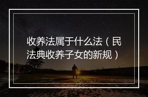 收养法属于什么法（民法典收养子女的新规）