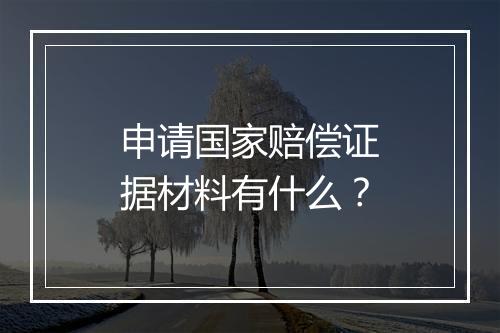申请国家赔偿证据材料有什么？
