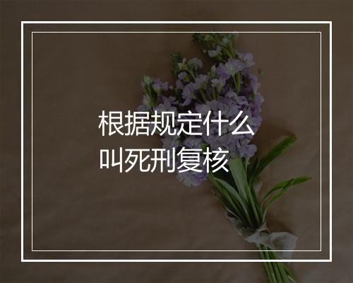 根据规定什么叫死刑复核