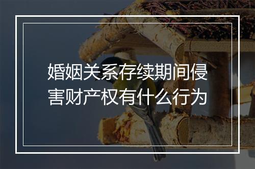 婚姻关系存续期间侵害财产权有什么行为