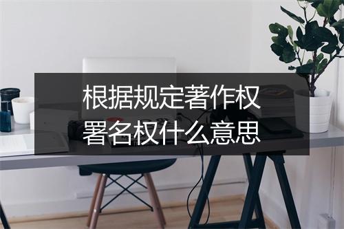 根据规定著作权署名权什么意思