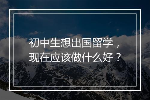初中生想出国留学，现在应该做什么好？
