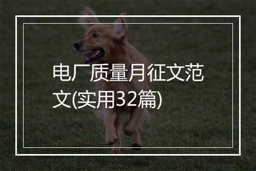 电厂质量月征文范文(实用32篇)