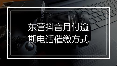 东营抖音月付逾期电话催缴方式