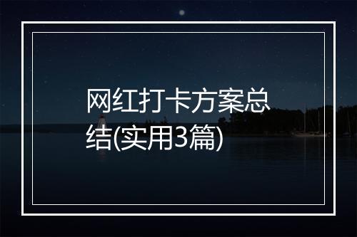 网红打卡方案总结(实用3篇)