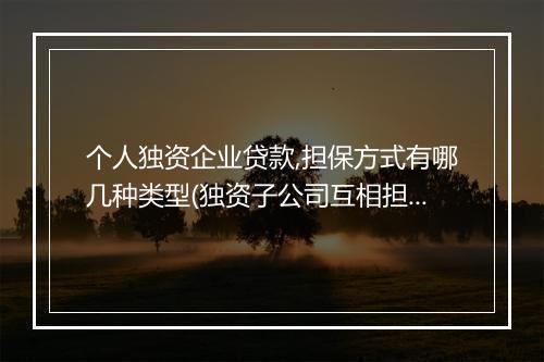 个人独资企业贷款,担保方式有哪几种类型(独资子公司互相担保)