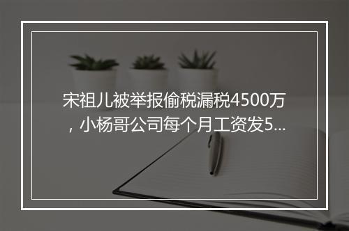 宋祖儿被举报偷税漏税4500万，小杨哥公司每个月工资发5000万