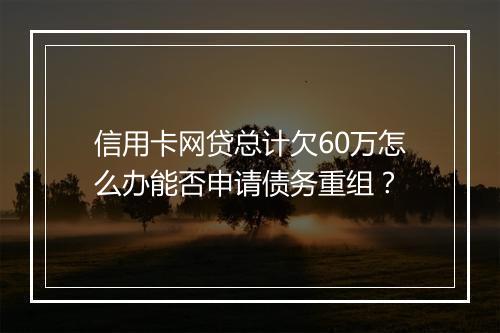信用卡网贷总计欠60万怎么办能否申请债务重组？