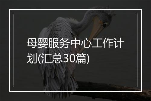 母婴服务中心工作计划(汇总30篇)
