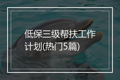 低保三级帮扶工作计划(热门5篇)