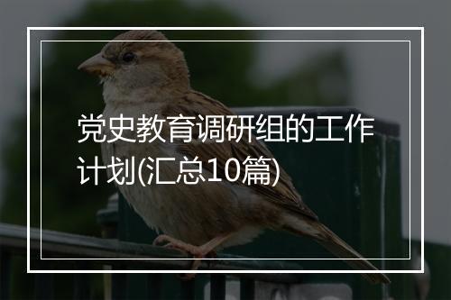 党史教育调研组的工作计划(汇总10篇)