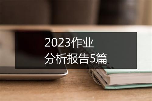 2023作业分析报告5篇