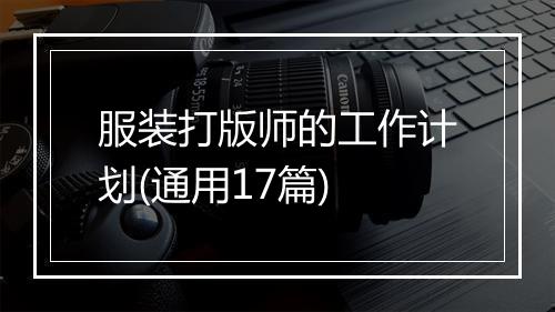 服装打版师的工作计划(通用17篇)