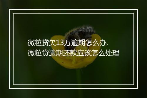 微粒贷欠13万逾期怎么办,微粒贷逾期还款应该怎么处理