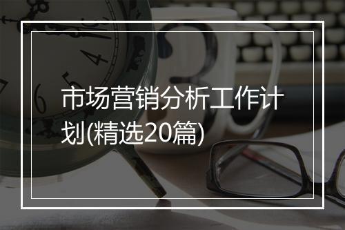 市场营销分析工作计划(精选20篇)