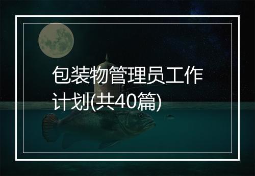 包装物管理员工作计划(共40篇)