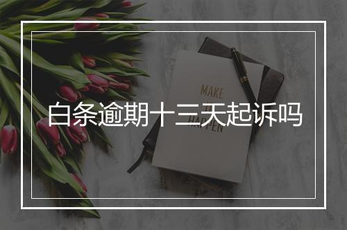白条逾期十三天起诉吗