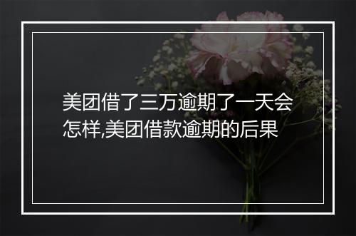 美团借了三万逾期了一天会怎样,美团借款逾期的后果