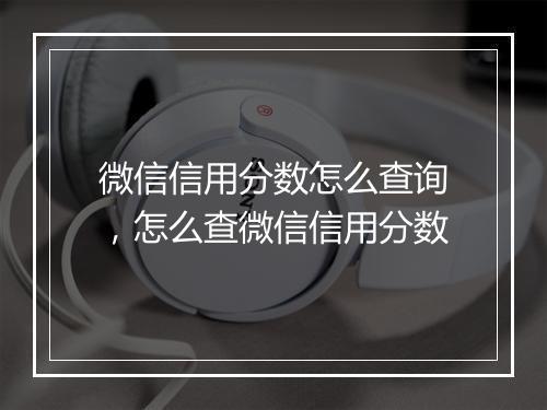 微信信用分数怎么查询，怎么查微信信用分数