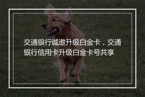 交通银行诚邀升级白金卡，交通银行信用卡升级白金卡号共享