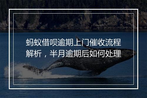 蚂蚁借呗逾期上门催收流程解析，半月逾期后如何处理