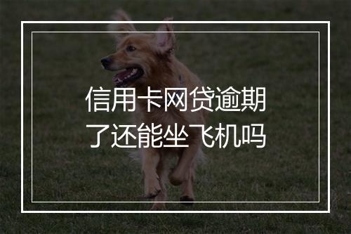 信用卡网贷逾期了还能坐飞机吗