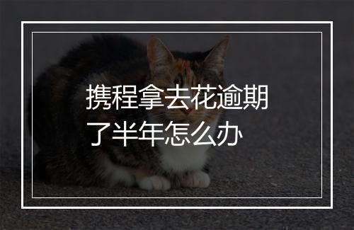 携程拿去花逾期了半年怎么办