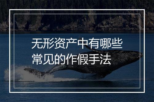 无形资产中有哪些常见的作假手法