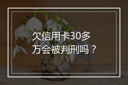 欠信用卡30多万会被判刑吗？