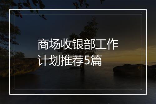 商场收银部工作计划推荐5篇