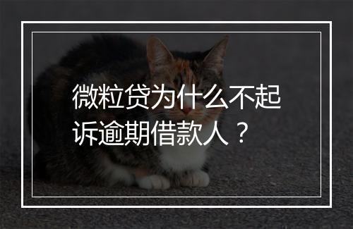 微粒贷为什么不起诉逾期借款人？