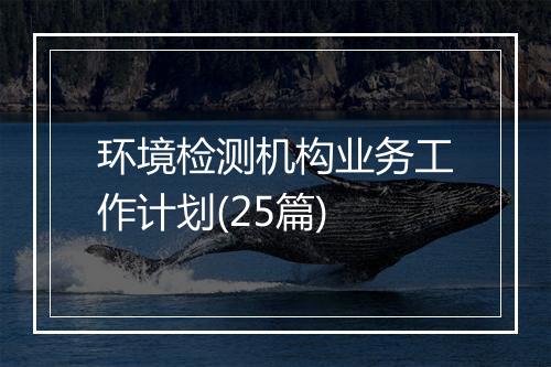 环境检测机构业务工作计划(25篇)