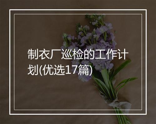 制衣厂巡检的工作计划(优选17篇)
