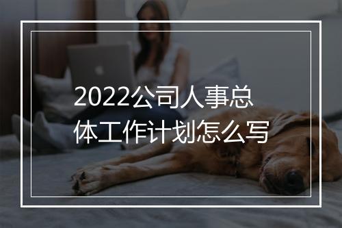 2022公司人事总体工作计划怎么写