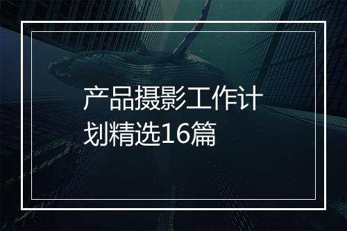 产品摄影工作计划精选16篇