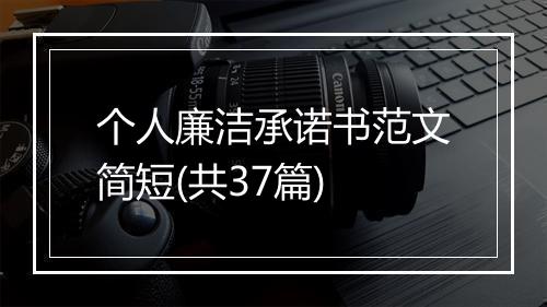 个人廉洁承诺书范文简短(共37篇)