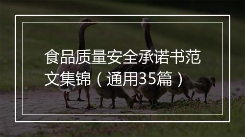 食品质量安全承诺书范文集锦（通用35篇）