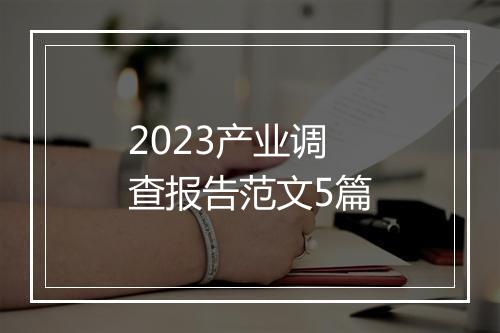 2023产业调查报告范文5篇