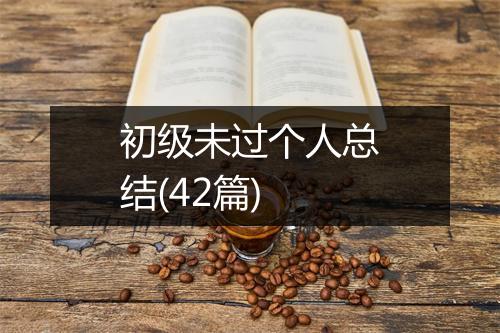 初级未过个人总结(42篇)